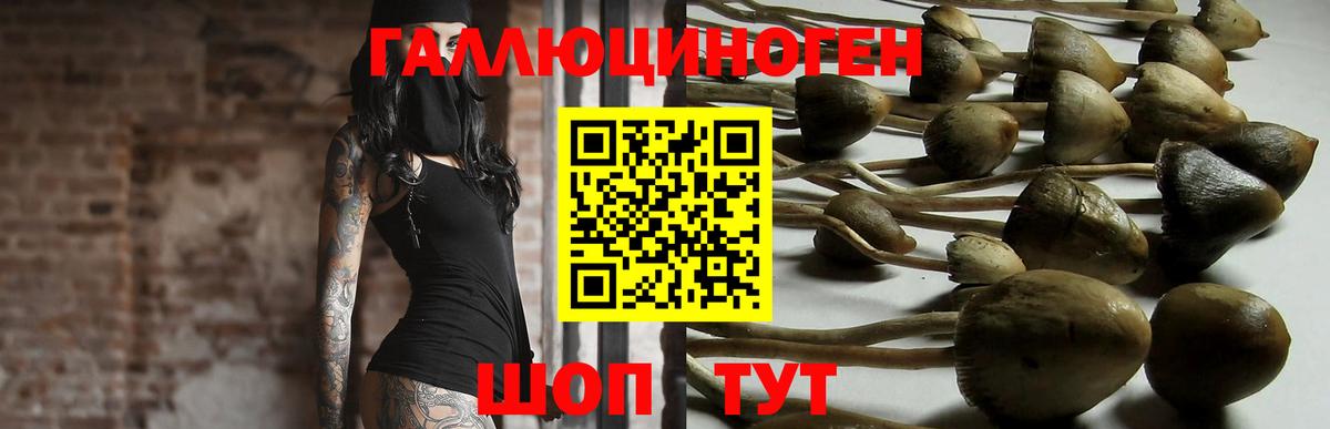 Псилоцибиновые грибы ЛСД Сорочинск