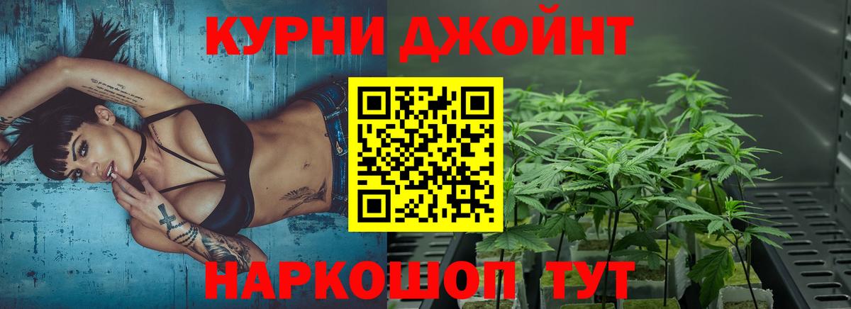 Каннабис Bruce Banner  Каннабис сатива  Сорочинск  Вход с VPN 